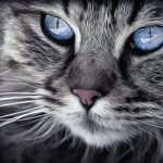 proskuriakova5251 profile picture