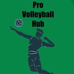provolleyballhub profile picture
