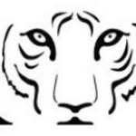 prowl_trust profile picture