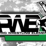 prowrestlingelement profile picture