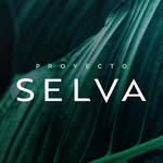 proyecto_selva profile picture