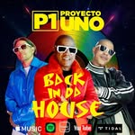 proyectouno profile picture