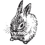 prufrockcoffee profile picture