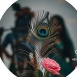 ptle465 profile picture