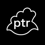 ptr.art profile picture