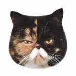 pudgethecat profile picture