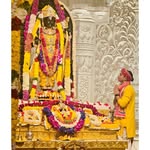 pujarisatyammishra profile picture