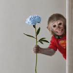 pulllsky_ profile picture