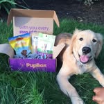 pupbox profile picture