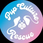 pupculturerescue profile picture