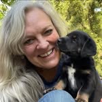 puppy.picks profile picture