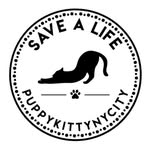 puppykittynycity profile picture