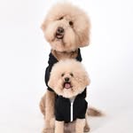 puppynamedcharlie profile picture