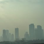 purify_mumbai profile picture