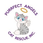 purrfectangelscatrescue_nj profile picture