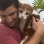 purricanecat profile picture
