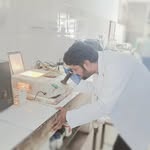 pushpendrasingh773 profile picture