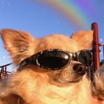 pvt_anandhu20 profile picture