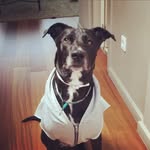 pzunzunegui profile picture