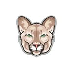 pzygym profile picture