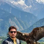 qazaafali profile picture