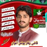 qaziwaqarawan profile picture
