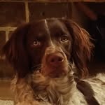 qiubarrie_ profile picture