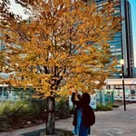 qsshazaa profile picture