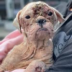 qtipsglowup profile picture