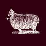 queensyardnyc profile picture