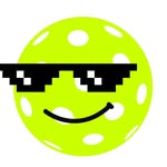 queernycpickleball profile picture