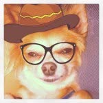 quincybonez profile picture
