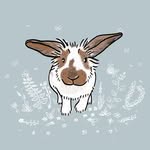 quincythebunny profile picture