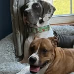 quinns_story profile picture