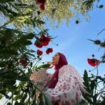qurat.rgu profile picture