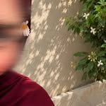 r0eya_had profile picture