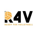 r4vball profile picture