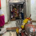 ra.jyadav5933 profile picture