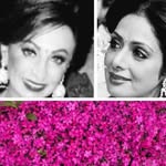 raakheepunjabi profile picture