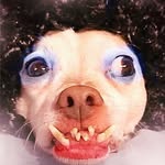 rabie_taybee_baby profile picture