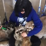 raccoonvillage profile picture