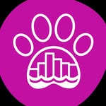 racc_shelter profile picture
