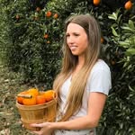 rachelscraftedlife profile picture