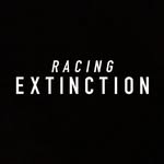 racingextinction profile picture
