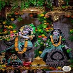 radhekrishanservant profile picture