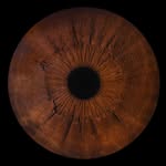 rafaelsilva_photography_ profile picture