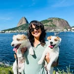 rafavipdog profile picture