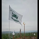 rafaytallha profile picture