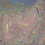 rafiirivandi profile picture