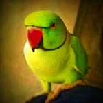 rafik.__.jat profile picture